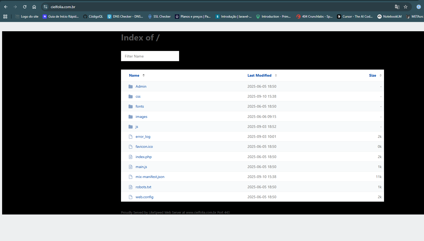 admin/uploads/images/acompanhante/screenshot-15-1758626085.png
